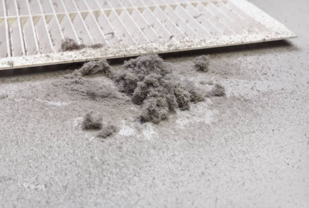 Best HVAC System Cleaning  in Garden City, MI