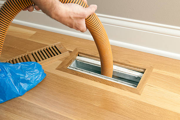 Best Home Air Vent Cleaning  in Garden City, MI