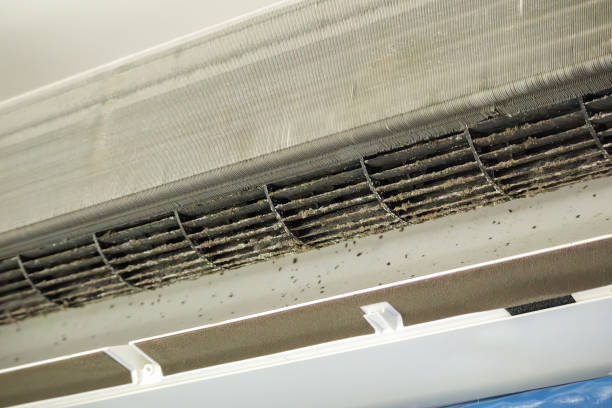 Best Ventilation Cleaning Services  in Garden City, MI