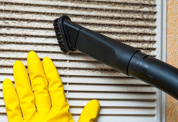 Best HVAC Duct Inspection Services  in Garden City, MI